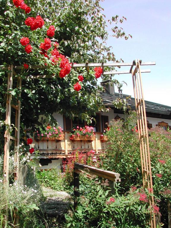 Апартаменты Haus Hubertus Райт-им-Винкль Экстерьер фото